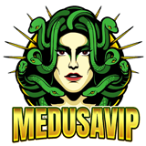 logo Medusavip168